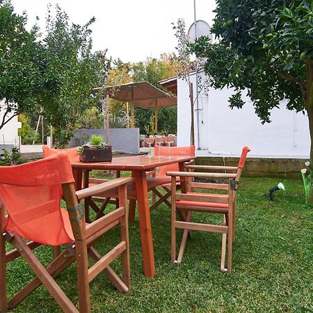 Sunset Studios - Suites With Seaview & Back Side Apartements Toroni Exterior photo